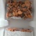 新鲜黄枞菌