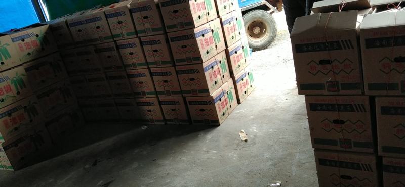 薄皮黄皮泡王大量供应规格齐全质量保证量大从优
