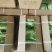黄心大白菜产地直销，只做精品，质量保证，货源充足。