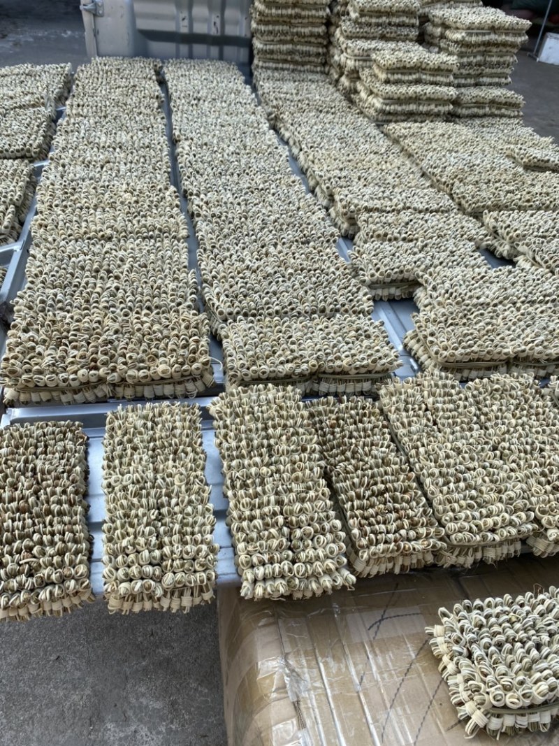 灯芯草新货野生中药材灯心草一捆400个，一袋10捆起卖