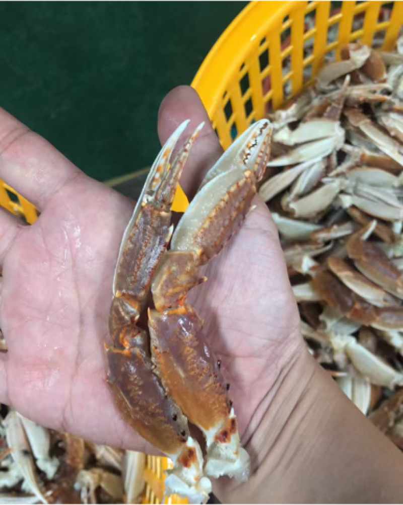 蟹腿…梭子蟹…蟹钳，大脚，…扁蟹脚，酒店，排档，连锁餐饮