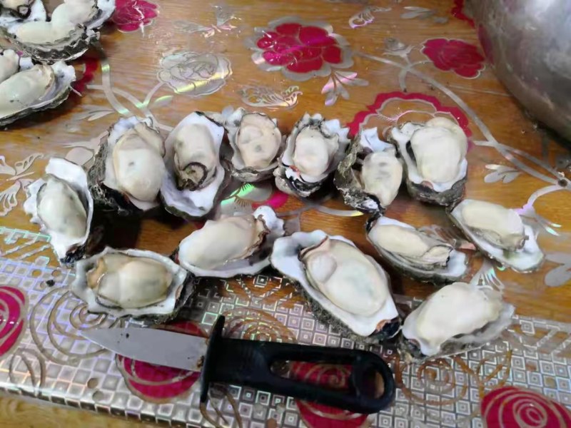 【推荐】三倍体生蚝乳山净化蚝高压锅烧烤生蚝全国发货
