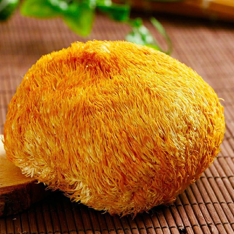 猴头菇营养美味可口食用菌猴头菇（干品包邮）