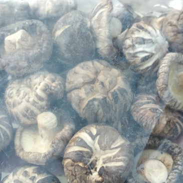 香菇干货基地直供，欢迎老板采购，