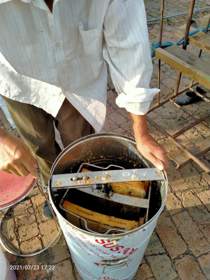 蜂蜜东北农家自产蜂蜜无添加一件代发
