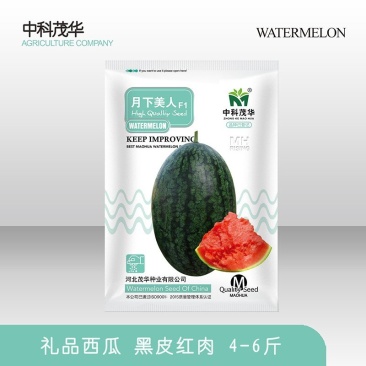 月黑美人西瓜种子，糖度13.7，籽少汁多，单瓜重4～6斤
