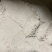 灰糠，各种规格，统糠，压缩稻壳，稻壳粉，量大从优