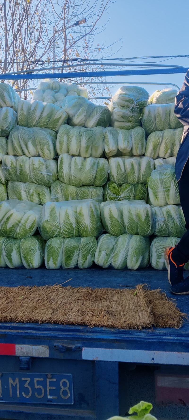 【推荐】山东潍坊黄心大白菜产地直发大量有货对接商超电商
