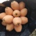 攀枝花米易枇杷，果甜肉厚。欢迎各位老板来收购