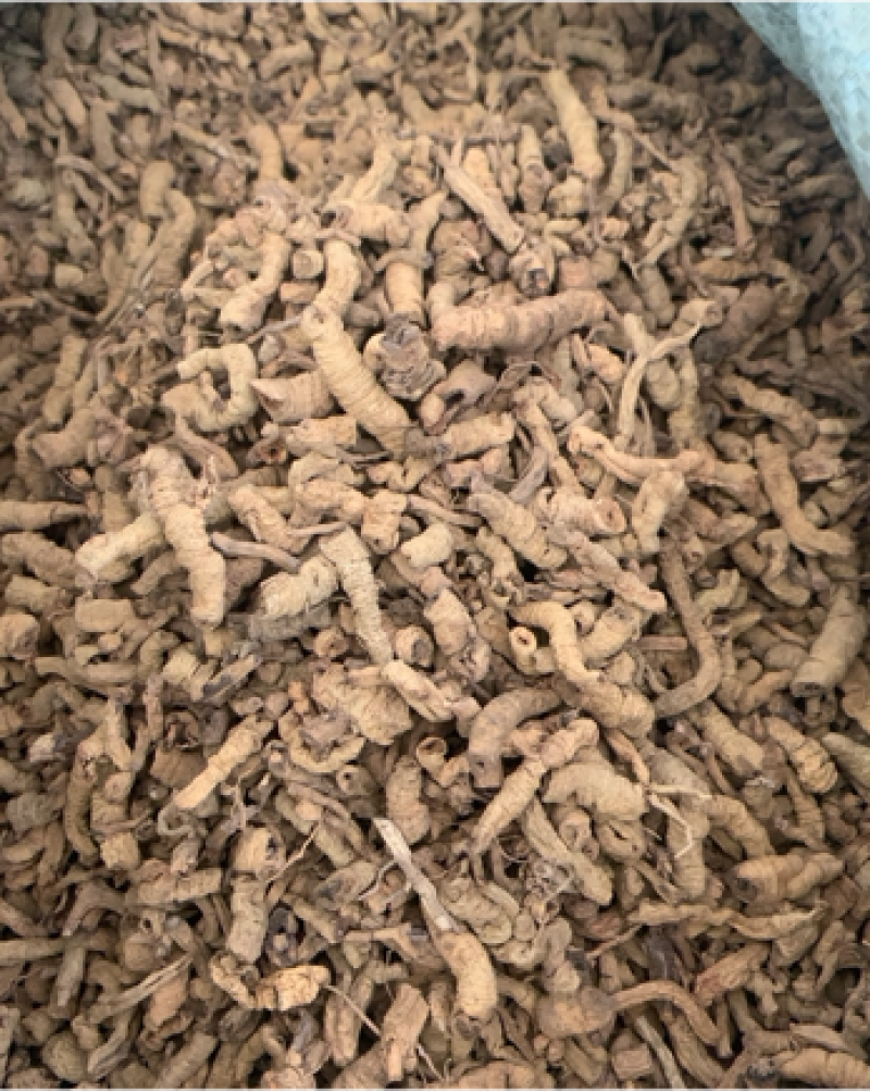 巴戟巴戟肉抽心统货过筛去泥颜色好产地直供各种规格