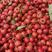 【优质】甜红子山楂，全国各地发货，口感好颜色红价格便宜