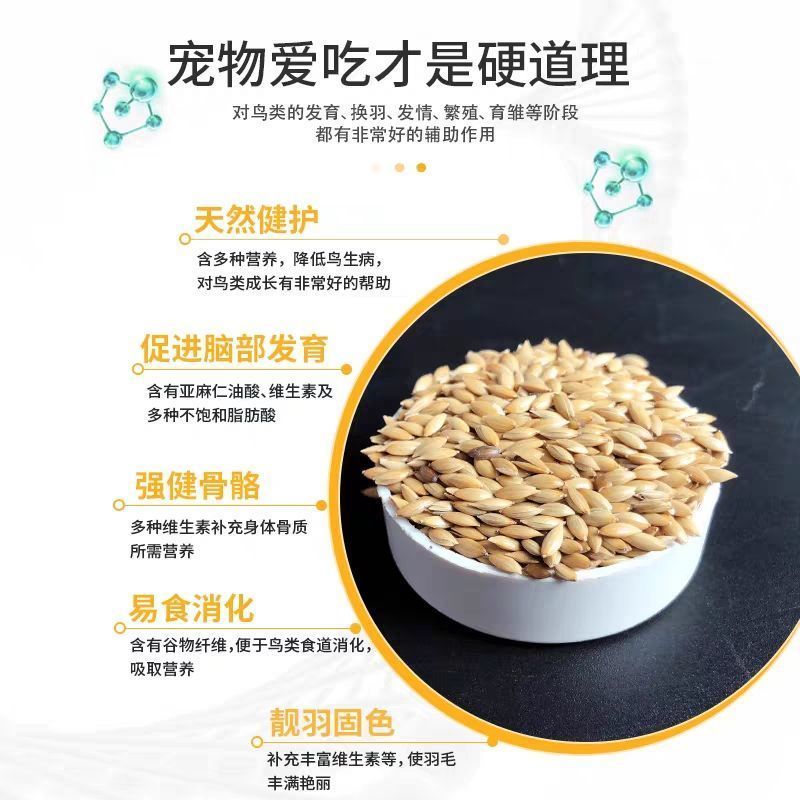 加纳利子鹦鹉鸟食鸟粮油尖粟白尖粟金丝雀黄雀粮食鸟饲料包邮