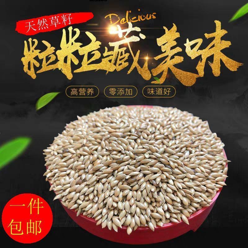 加纳利子鹦鹉鸟食鸟粮油尖粟白尖粟金丝雀黄雀粮食鸟饲料包邮