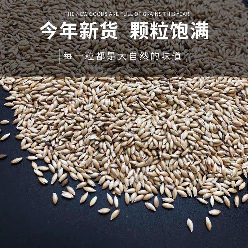 加纳利子鹦鹉鸟食鸟粮油尖粟白尖粟金丝雀黄雀粮食鸟饲料包邮