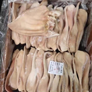 【包邮-毛重20斤猪耳朵】热销一件带冰20斤餐饮专用带根