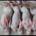 烫皮兔肉带皮兔肉肉质好产地直销可定制加工