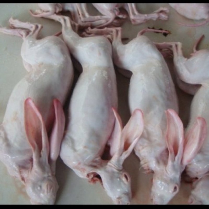 烫皮兔肉带皮兔肉肉质好产地直销可定制加工