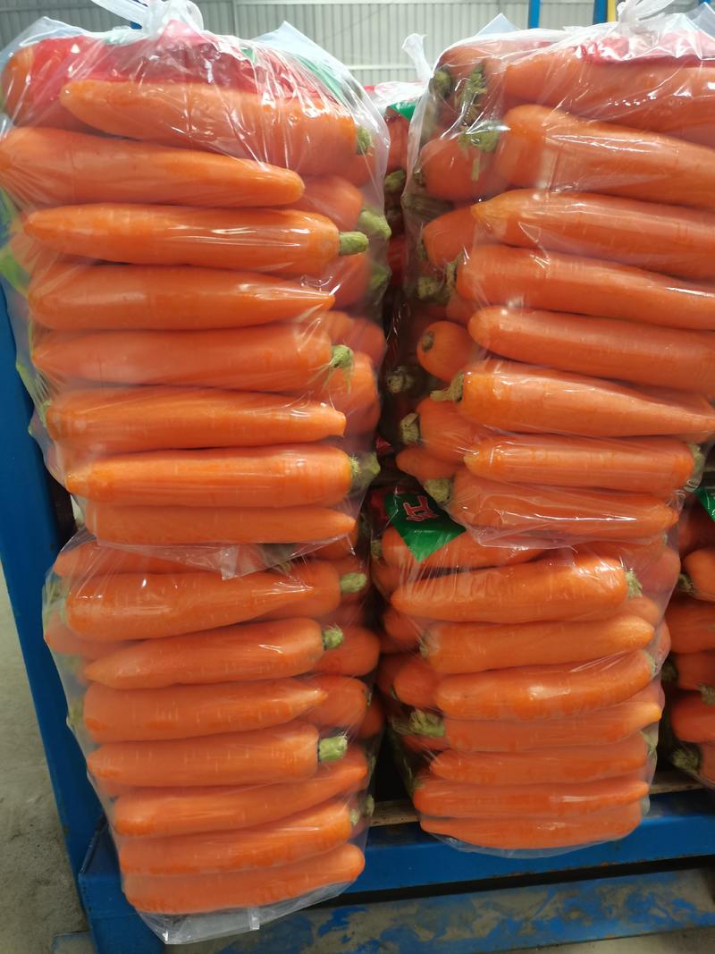 水洗三红胡萝卜，杂交种，产地直发，保质量