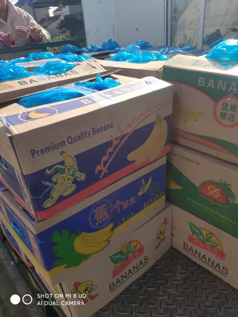 冰草，大棚种植，货源充足稳定，品相优良