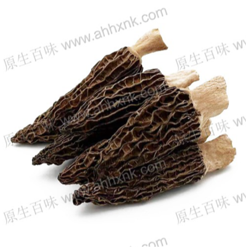 供港澳常年大量供应食用菌干羊肚菌脱水去柄羊肚菌
