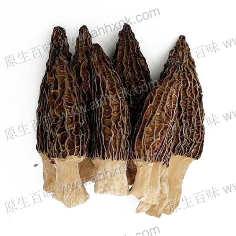 供港澳常年大量供应食用菌干羊肚菌脱水去柄羊肚菌