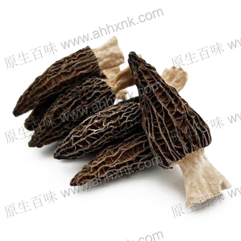 供港澳常年大量供应食用菌干羊肚菌脱水去柄羊肚菌