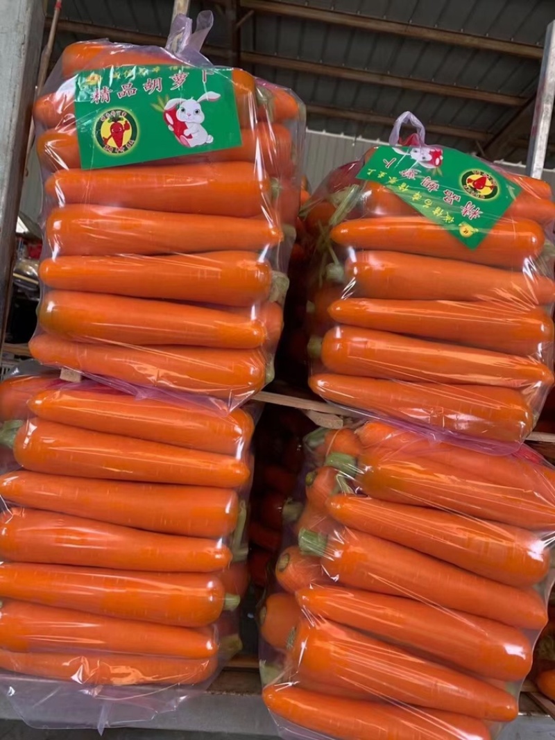 河南开封三红胡萝卜，可供超市，市场，电商一件代发