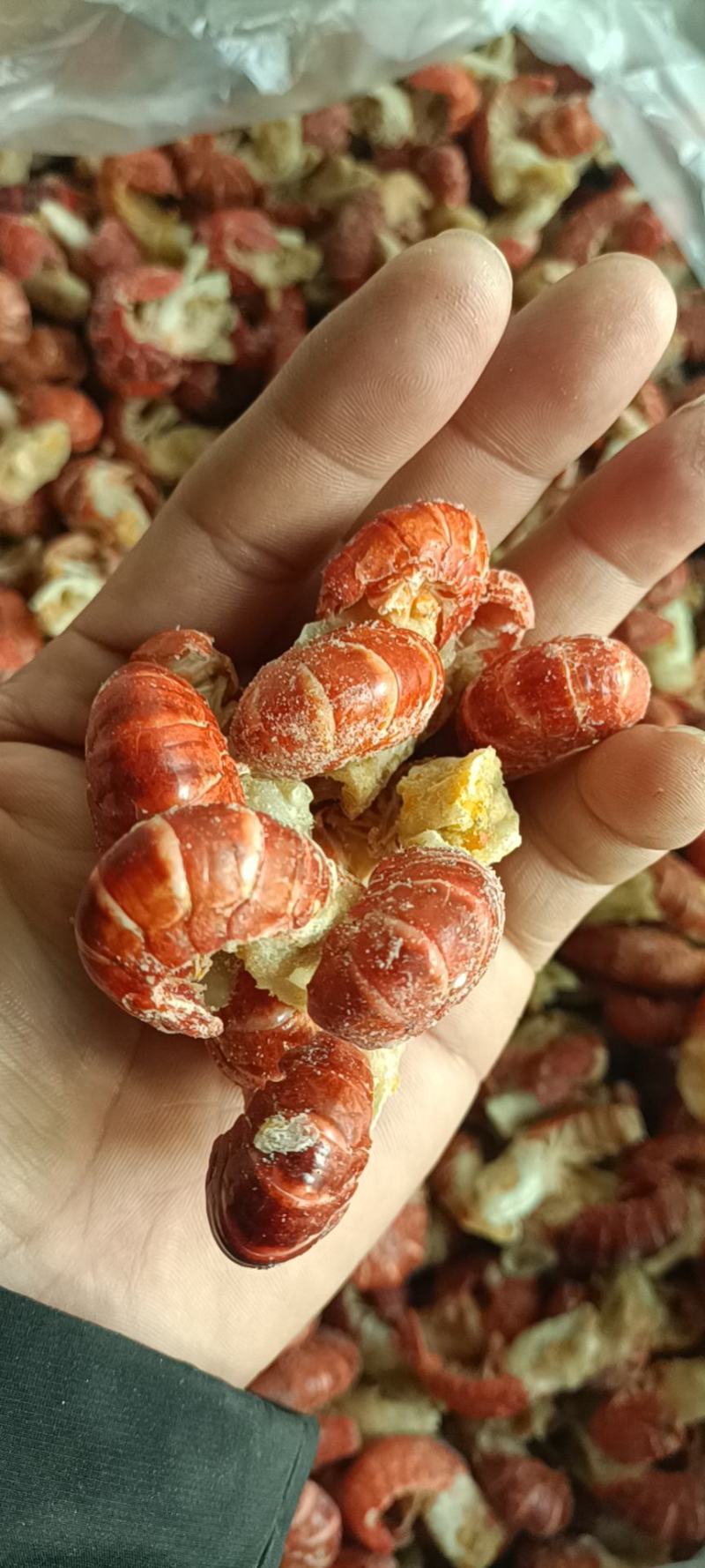 龙虾尾纯干冰一斤95粒左右今年的新货质量很好