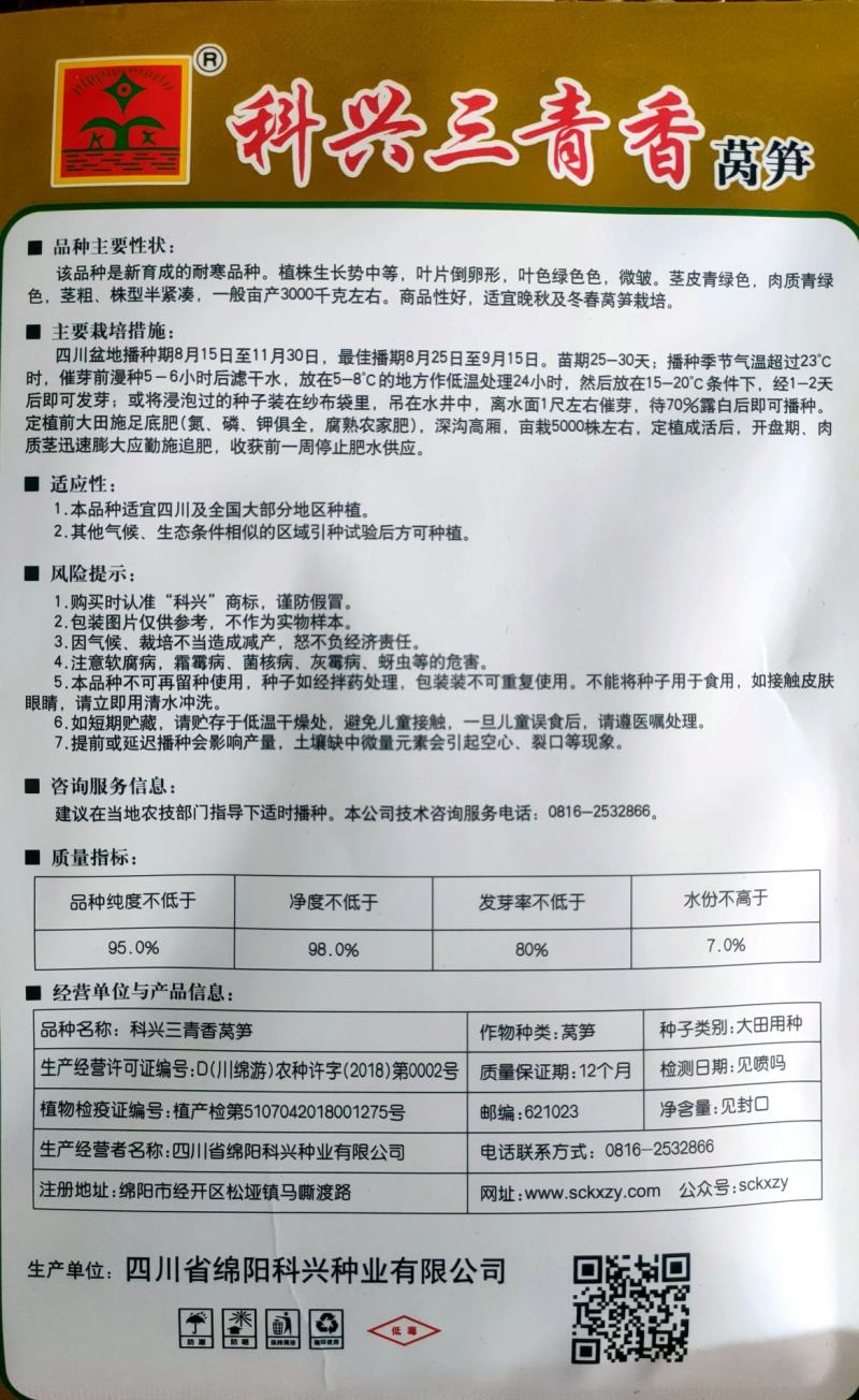 三青莴笋种子圆叶耐寒青皮青肉四青莴笋种子