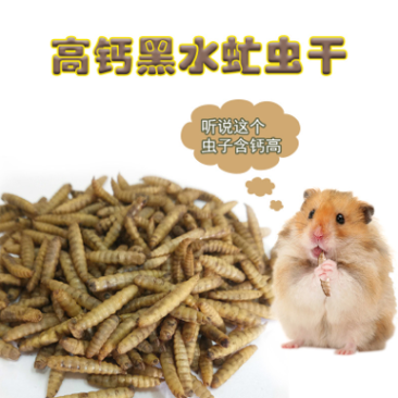 仓鼠粮食烘干营养虫干金丝熊刺猬乌龟饲料粮