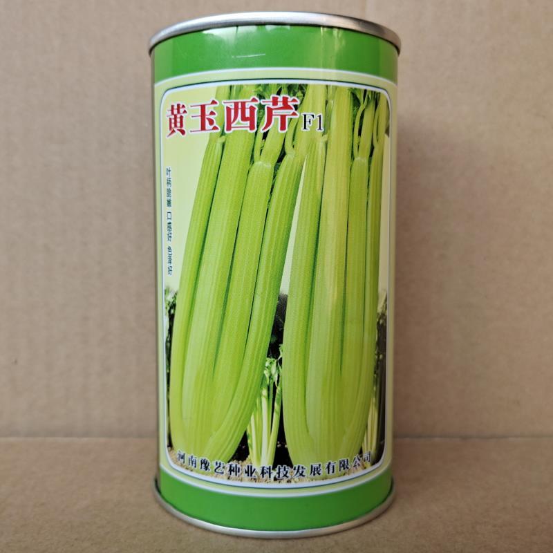 【荐】法国皇后芹菜种子黄玉西芹种子耐低温豫艺种业厂家直销
