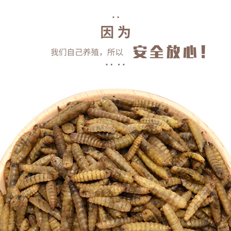 仓鼠粮食烘干营养虫干金丝熊刺猬乌龟饲料粮