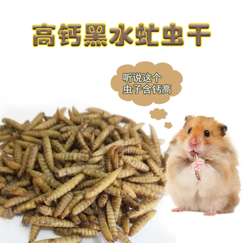 仓鼠粮食烘干营养虫干金丝熊刺猬乌龟饲料粮
