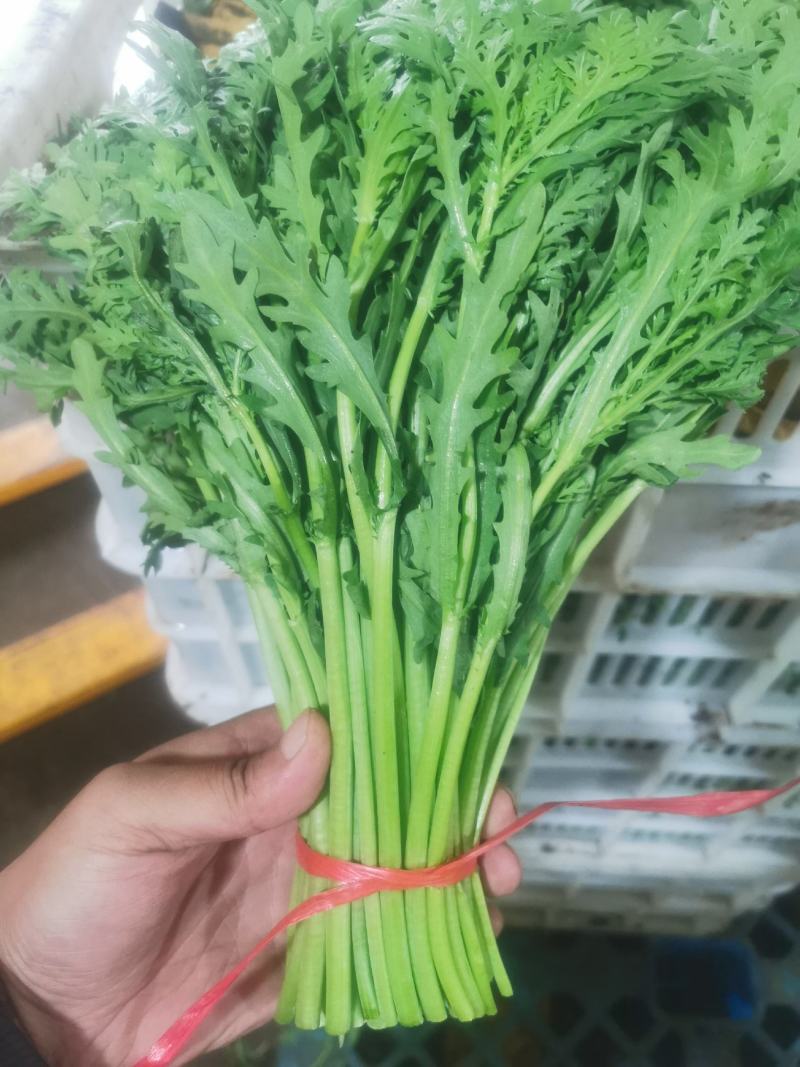 寿光光杆茼蒿价格不高质量好、支持全国代发车。
