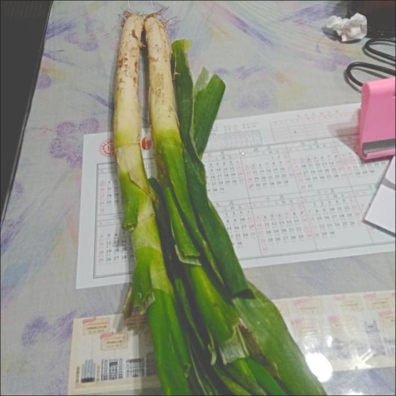 新鲜山东大葱大葱菜新鲜蔬菜葱批发价10斤章丘大葱批发毛