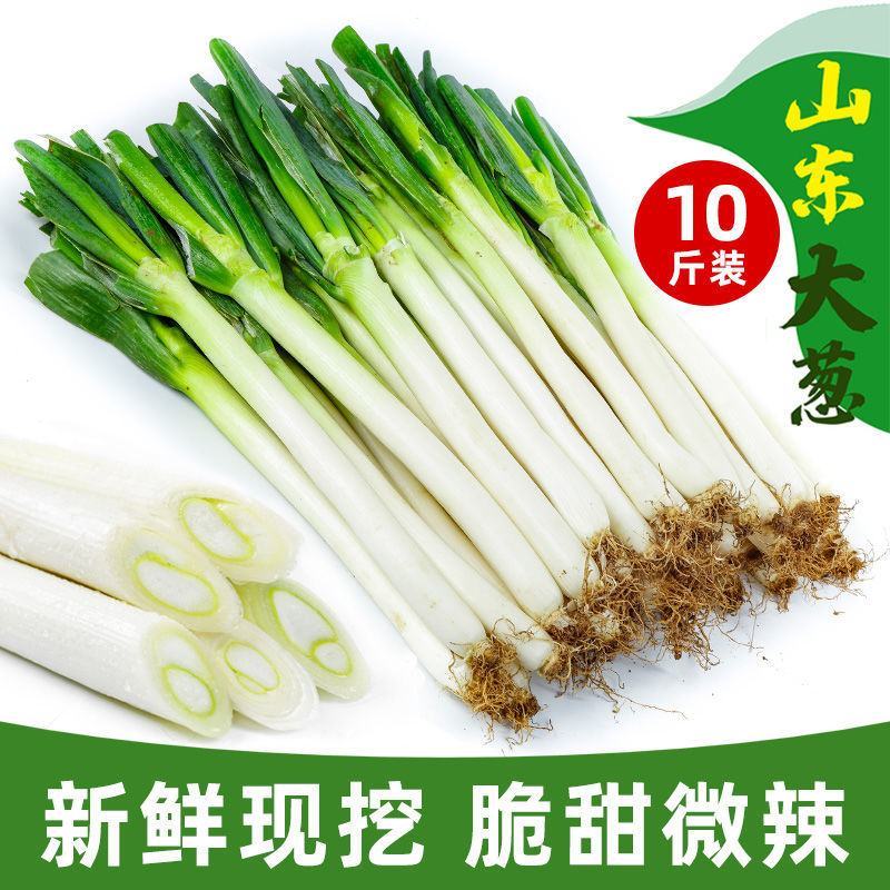 新鲜山东大葱大葱菜新鲜蔬菜葱批发价10斤章丘大葱批发毛