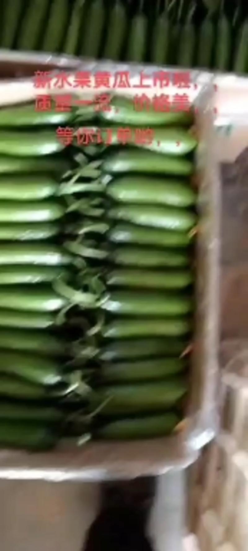 【热卖】精品优质小黄瓜，长年供应，全国发货，欢迎进店联系