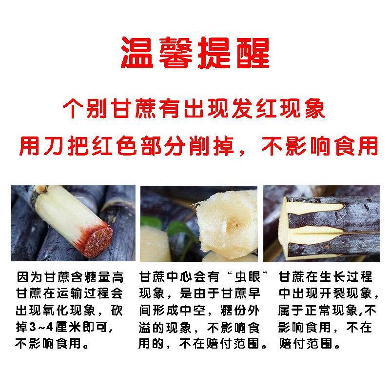 【精选】广西黑皮甘蔗一件代发下单当天发出不压单
