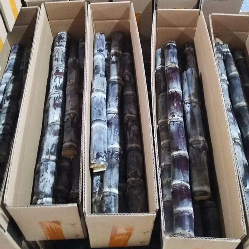 【精选】广西黑皮甘蔗一件代发下单当天发出不压单