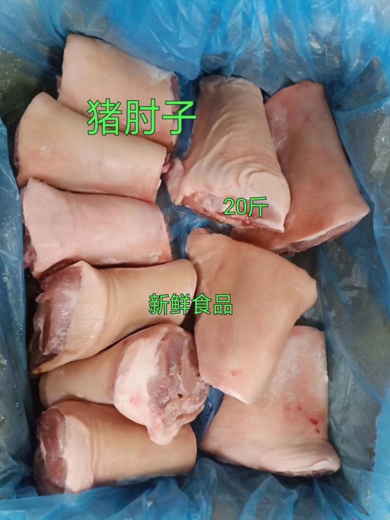 猪蹄髈猪肘子猪前肘子前蹄10斤20斤可选饭店卤菜自家吃