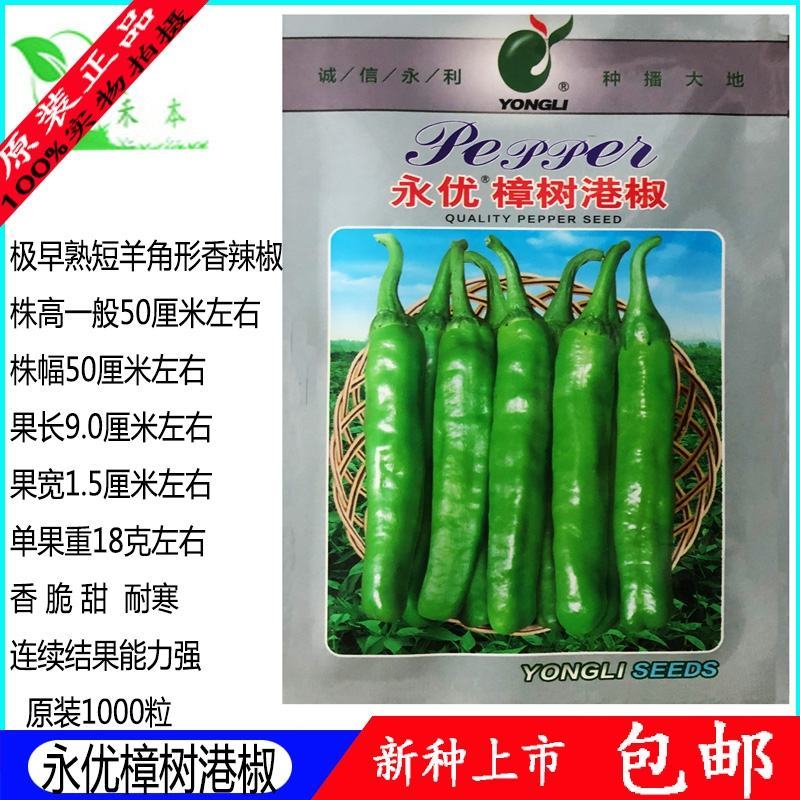 樟树港辣椒种子1000粒