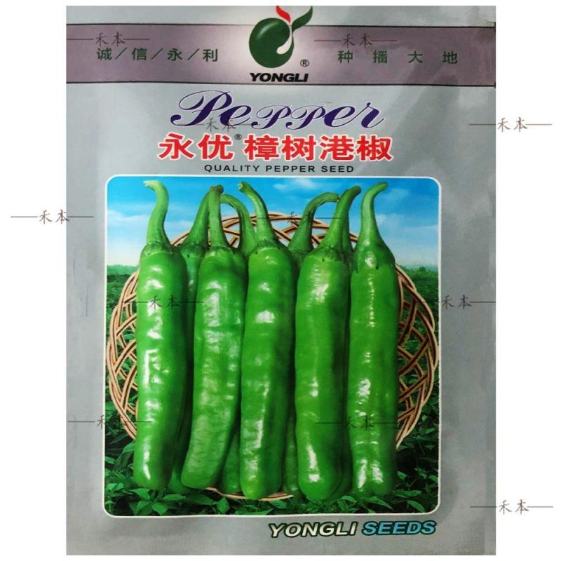 樟树港辣椒种子1000粒