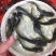 优选南方大口鲶鱼苗杂交大口鲶驯化饲料快大质量保证