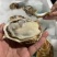 【推荐】三倍体生蚝乳山净化蚝高压锅烧烤生蚝全国发货