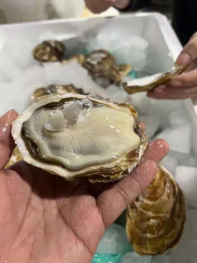 【推荐】三倍体生蚝乳山净化蚝高压锅烧烤生蚝全国发货