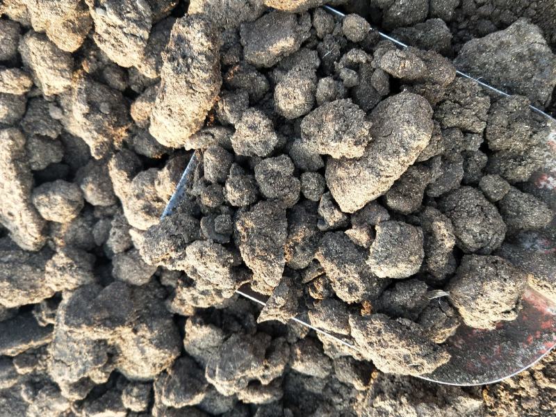大量干猪粪畜禽粪自然风干发酵猪粪果树蔬菜专用有机肥料