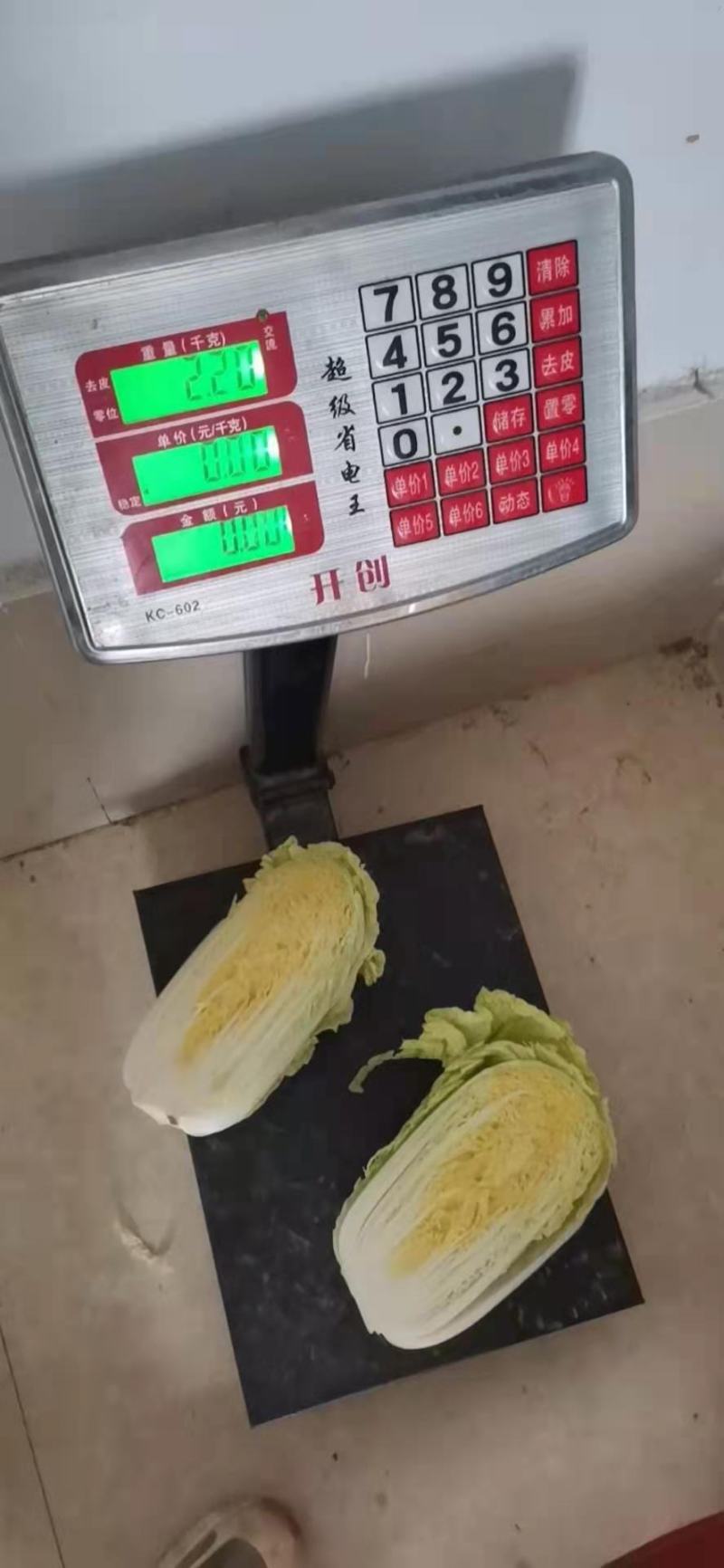 精品黄心高原夏菜娃娃菜条型好大颗高品质娃娃菜