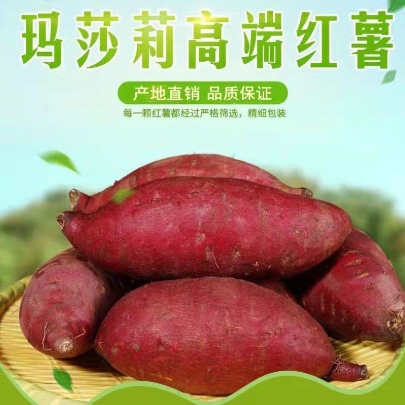 玛莎莉红薯日本高端蜜薯软糯超甜超桥头地瓜香薯黄金蜜薯