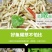 新鲜蔬菜鱼腥草折耳根农家侧耳根嫩根节节根现挖鱼香草包邮