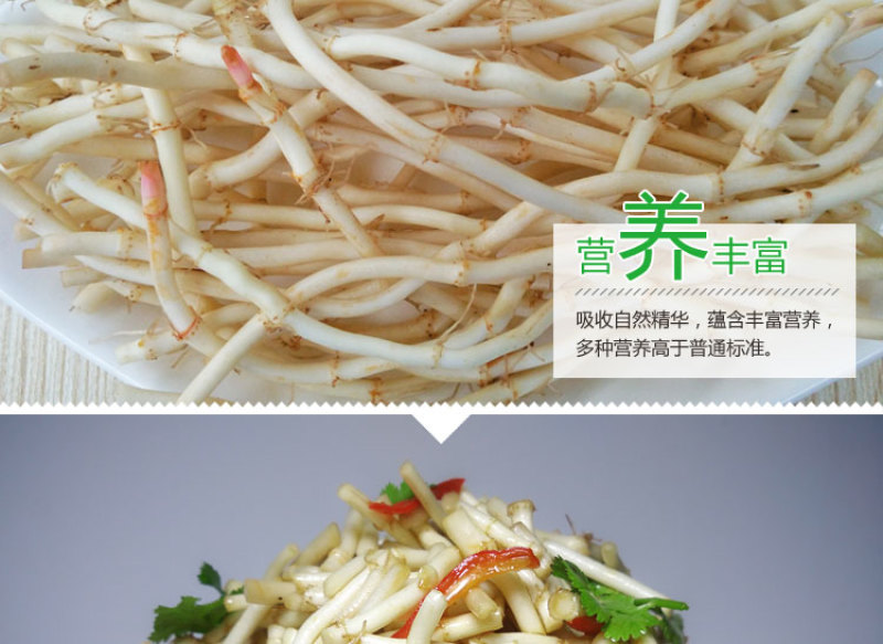 新鲜蔬菜鱼腥草折耳根农家侧耳根嫩根节节根现挖鱼香草包邮